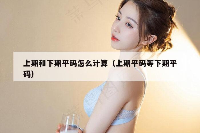 上期和下期平码怎么计算（上期平码等下期平码）